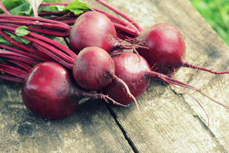 Sow Seeds for Fall Garden